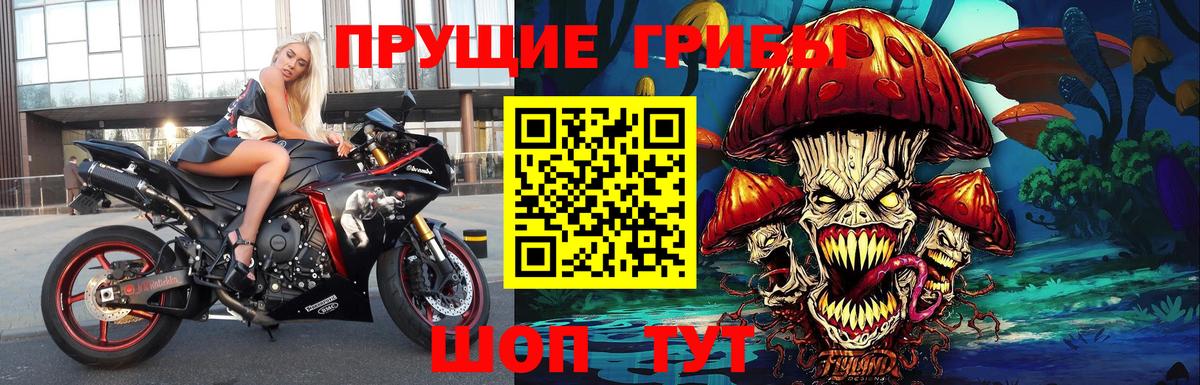Псилоцибиновые грибы мицелий Урюпинск